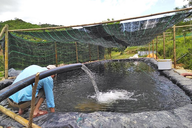 Bể nuôi cá Tầm cần được xử lý sạch sẽ, tạo điều kiện tốt nhất cho cá sinh trưởng