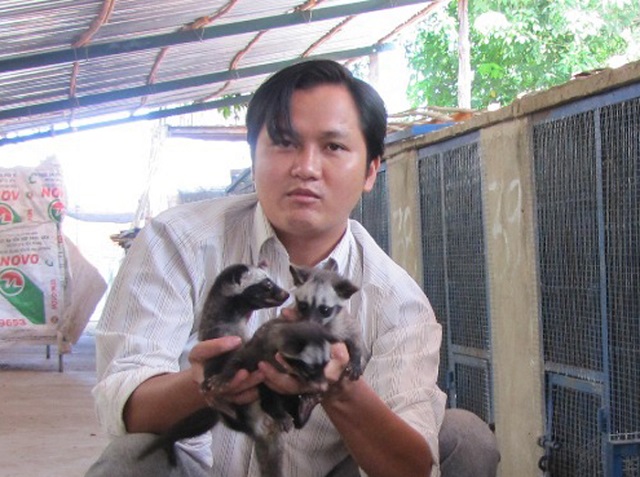 Hướng Dẫn Kỹ Thuật Nuôi Chồn Hương Sinh Sản