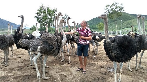 Khi có những biểu hiện trên, bà con phát hiện, chăm sóc hoặc gọi bác sĩ thú y càng sớm càng tốt, tránh rủi ro.