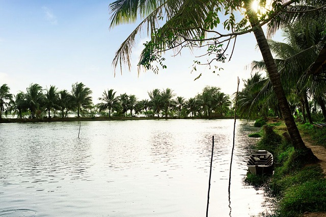 Hiện nay có 2 cách thả tôm khác nhau tùy thuộc vào lựa chọn của bà con nông dân