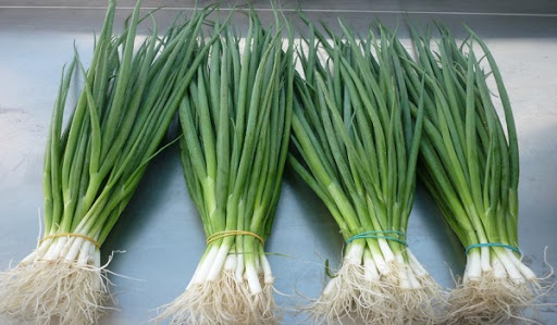 Các bộ phận của hành lá đều có thể sử dụng