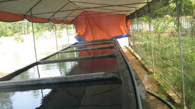 Người nuôi cá cần cố định vị trí đặt sàng cho ăn