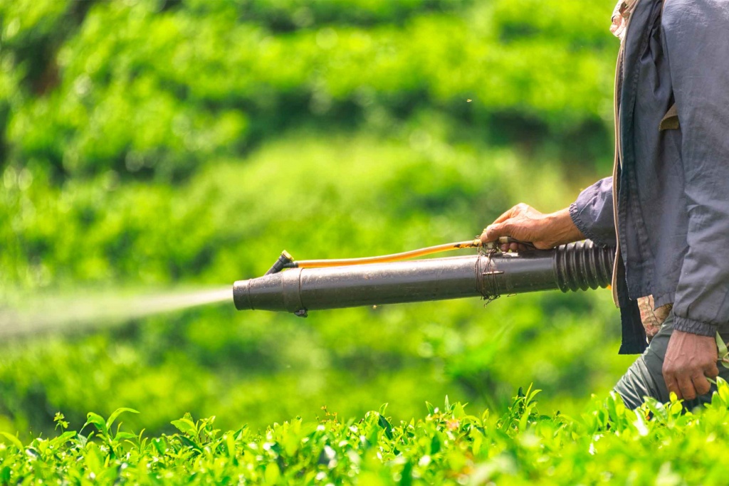 Thuốc trừ sâu sinh học – bạn của nhà nông, kẻ địch của sâu bọ