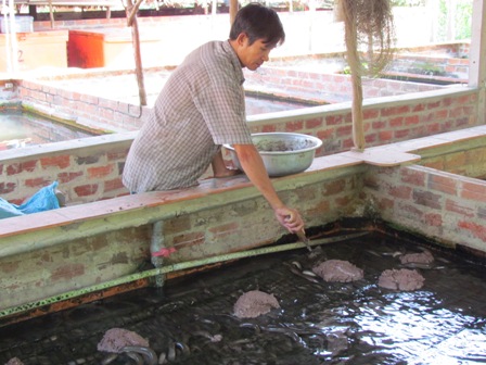 người nông dân chăm lươn