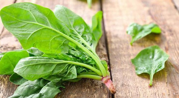 tháng 3 hợp với chân vịt