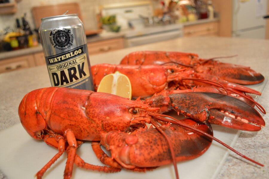 Nuôi tôm hùm nước ngọt