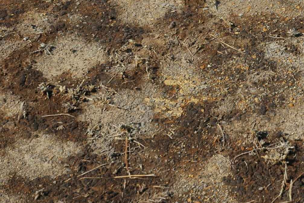 Biện pháp cải tạo đất chua