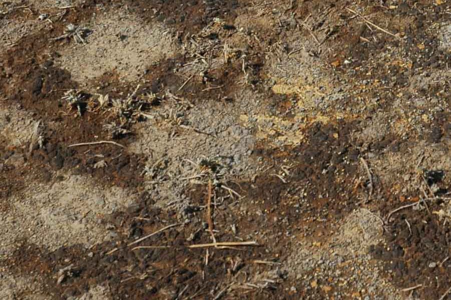 Biện pháp cải tạo đất chua