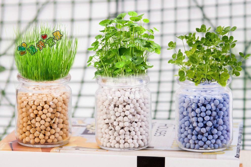 đất nung trồng cây màu sắc