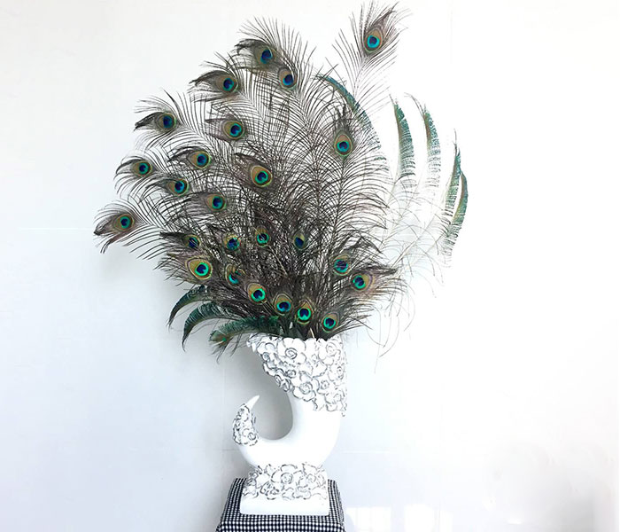 lông chim công giá trị thẩm mỹ và cả phong thủy 