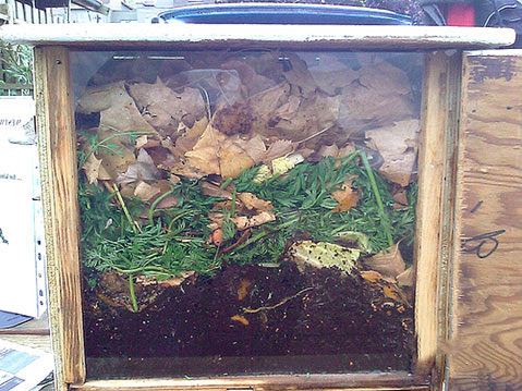 Tự ủ phân hữu cơ vi sinh