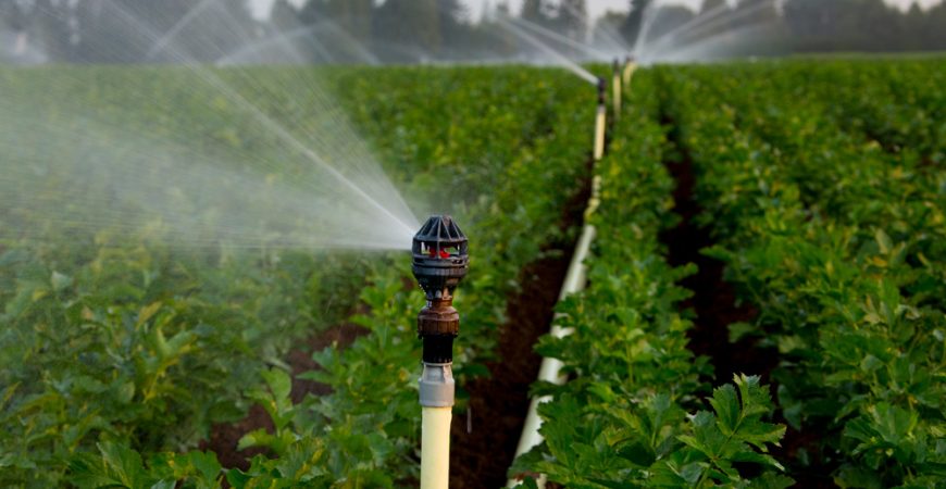 Vòi thông minh kiểm soát được lượng nước tưới