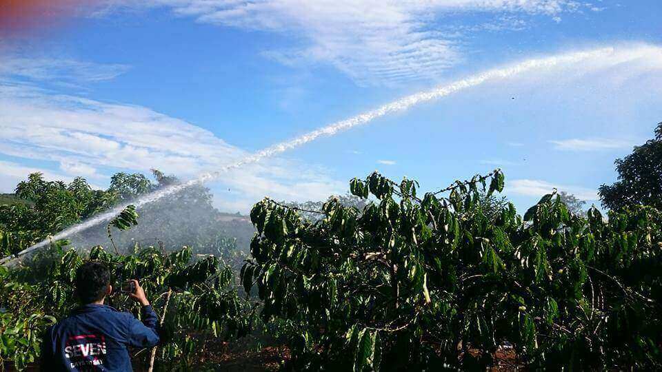 Tưới phun mưa cho cây cà phê bằng béc tưới Ducar Atom