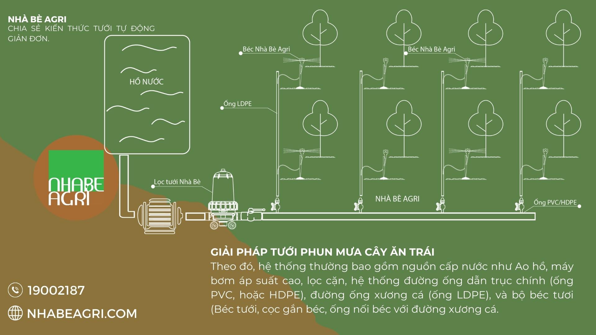 Giai phap tuoi phun mua cay an trai