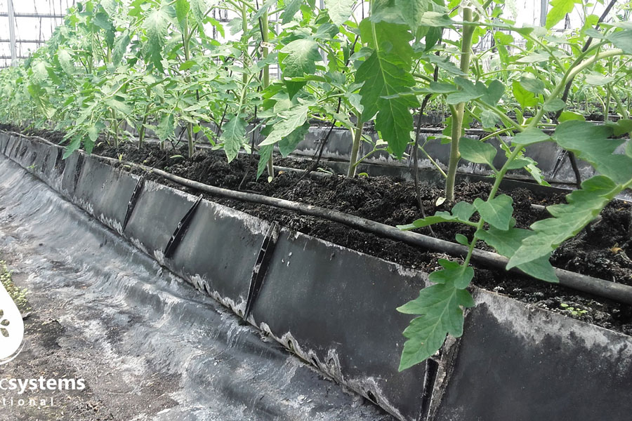 Máng đựng giá thể Hydroponic 1