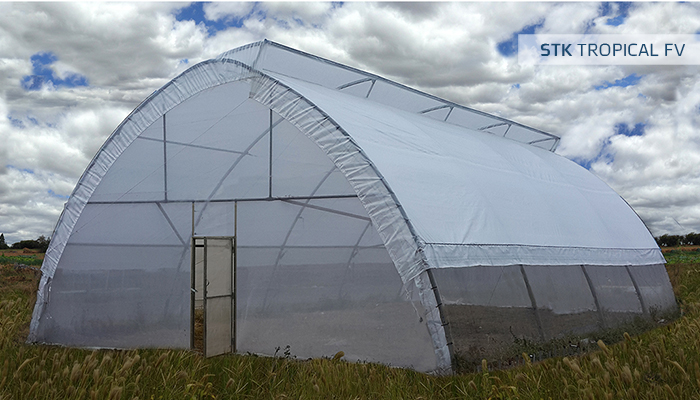 Nhà kính mini STK Tropical Fixed vent