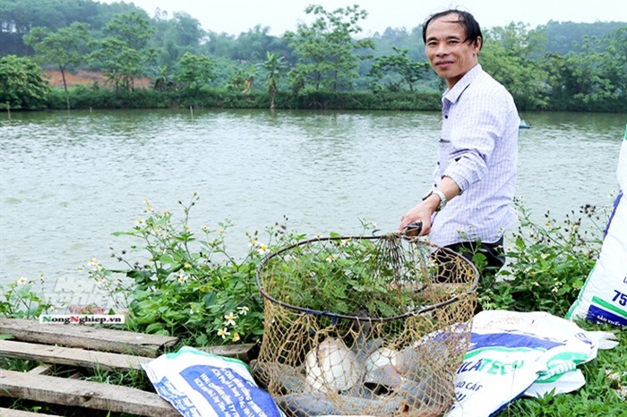 Thức ăn cho cá rô phi