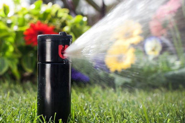 tưới thảm cỏ sân vườn