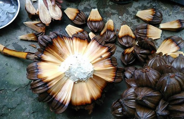 Hạt dừa nước được chế biến thành nhiều món ăn độc đáo