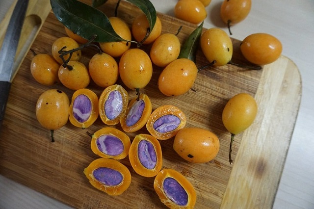 Các Loại Cây Ăn Quả Miền Nam Ngon Nức Tiếng