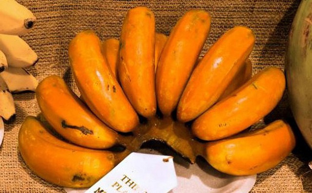 Giống chuối có phần vỏ màu cam đặc trưng rất bắt mắt