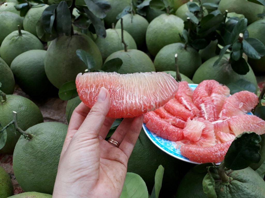 Đặc Sản Trái Cây Miền Tây Vị Ngon Khó Cưỡng