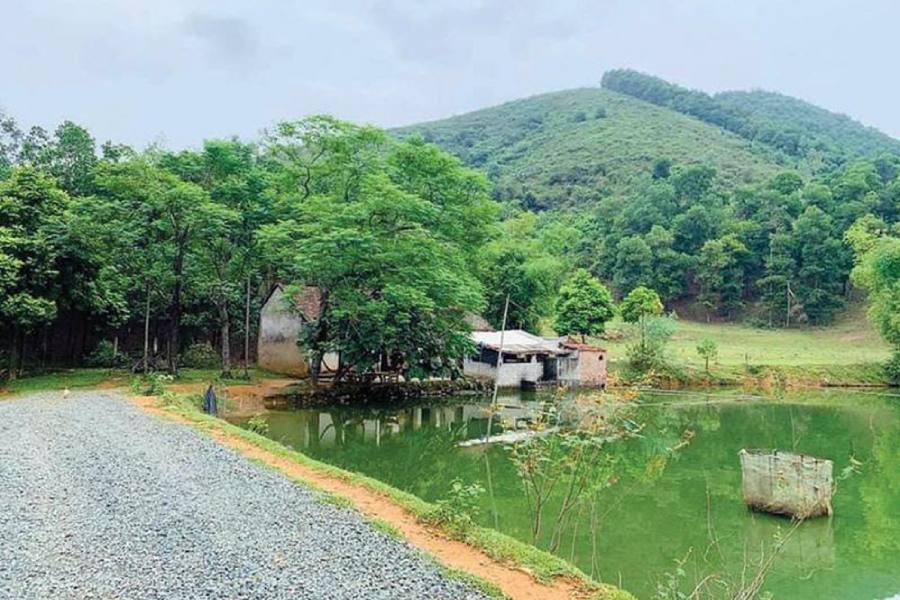 mua-dat-lam-nha-vuon-4