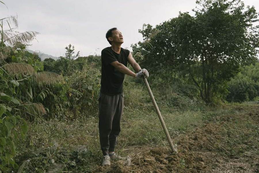 nhung-nguoi-tre-vo-mong-thi-thanh-2