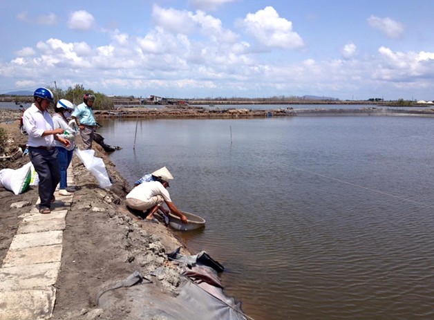 Ao đất trong kỹ thuật nuôi cá bống mú
