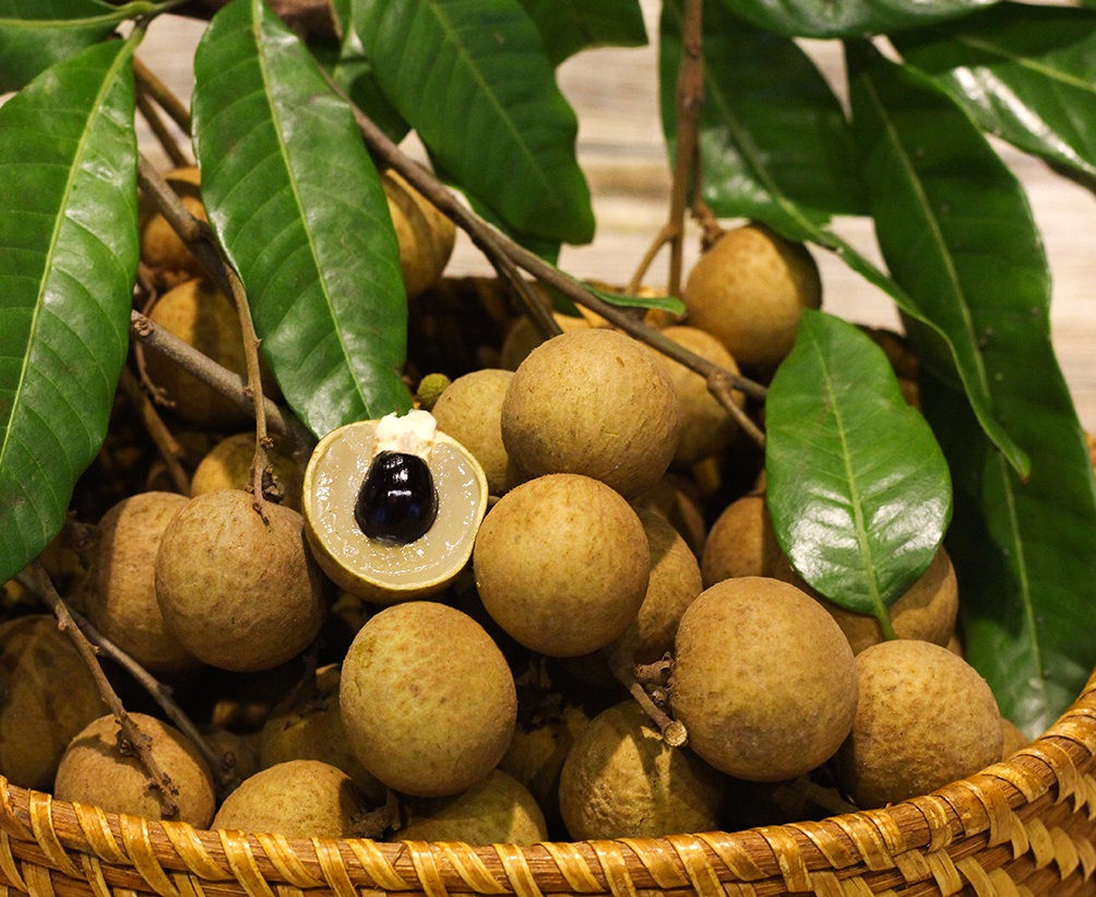 Trái nhãn lồng Hưng Yên gây thương nhớ với vị ngọt mát cùng độ giòn khi ăn