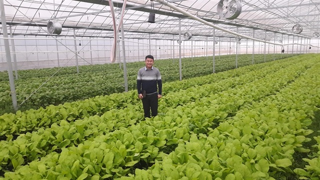 Đất trồng rau Organic phải cách ly với những khu vực đất khác