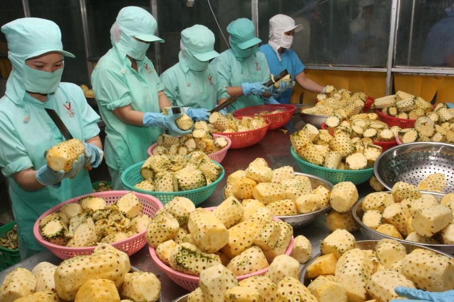 kỷ lục xuất khẩu nông sản 2