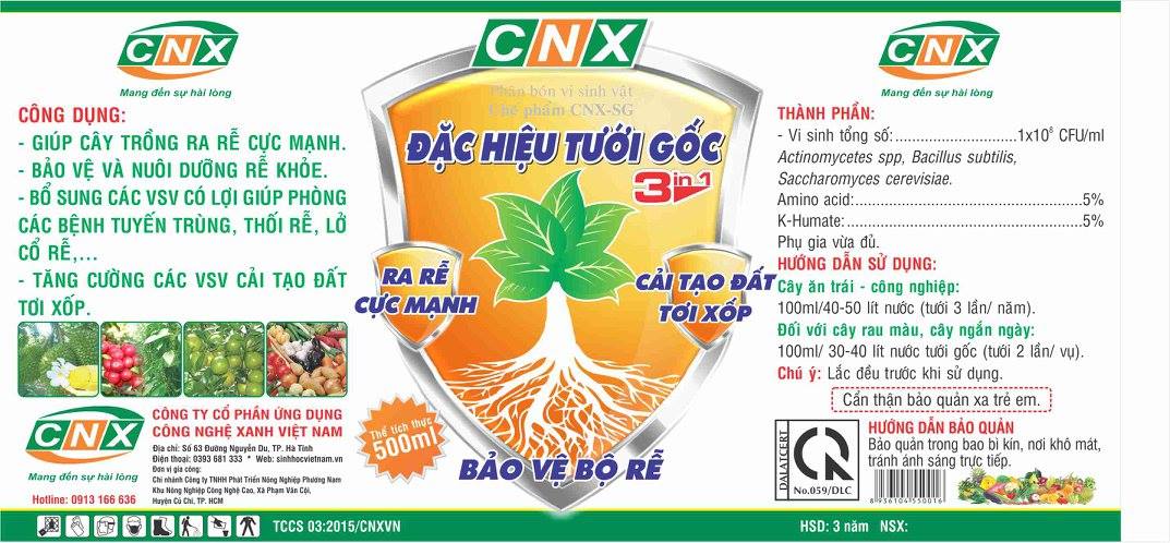 Cách chăm sóc cây mai vàng bị yếu