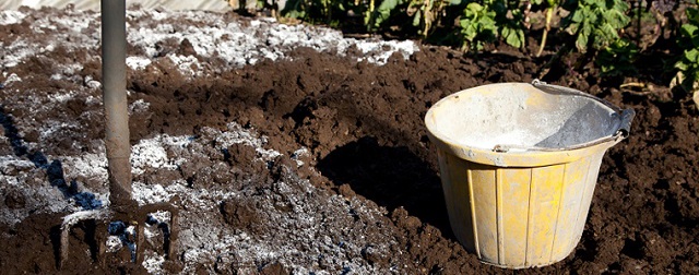 Bón vôi giúp phân giải nhanh những chất hữu cơ trong đất