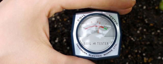 Vôi có thể tham gia vào việc điều hòa pH trong đất và khiến cho độ pH tăng