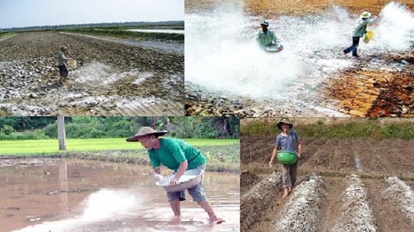 Hiện nay có nhiều loại vôi trên thị trường được dùng để cải thiện độ chua cho đất