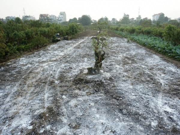 Lượng vôi sử dụng cho từng loại đất sẽ khác nhau