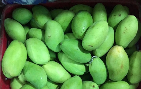 Xoài keo luôn hoà lẫn chút vị chua cùng vị ngọt dịu