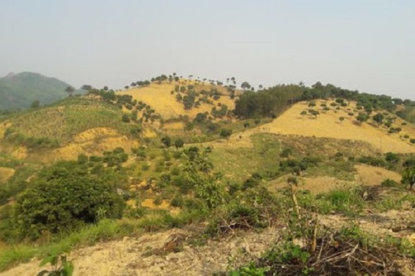 Đất đồi núi được xem là một loại tài nguyên quý báu