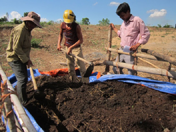 Cải Tạo Đất Trồng Cây Ăn Quả Bằng Phương Pháp Nào?
