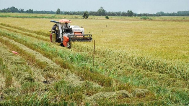 Cơ giới hoá nông nghiệp giúp mang lại năng suất cao hơn