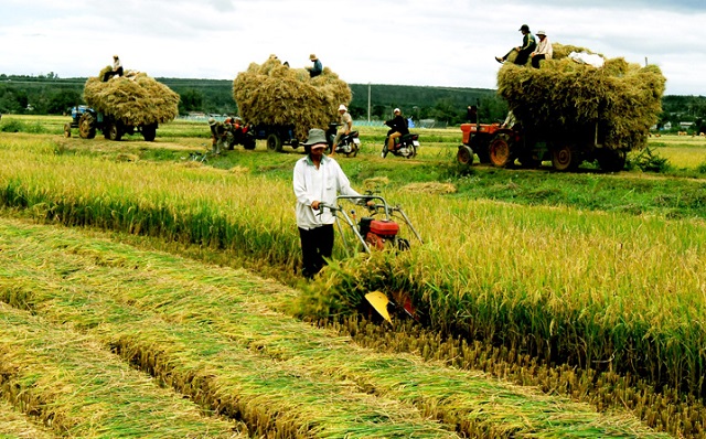 Cơ giới hoá nông nghiệp xuất hiện giúp giảm công sức và thời gian lao động xuống mức thấp nhất