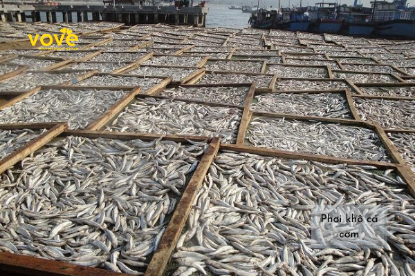 Khô cá cơm