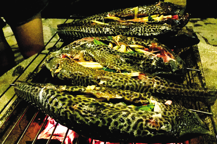 Cá dọn bể nướng