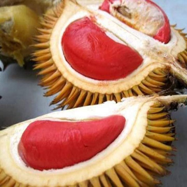 Sầu riêng ruột đỏ gây ấn tượng cả về màu sắc và hương vị