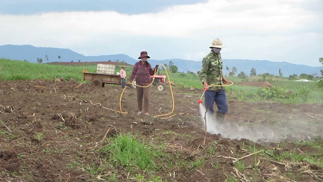 Thuốc Trừ Cỏ Tiền Nảy Mầm Và Những Điều Cần Biết