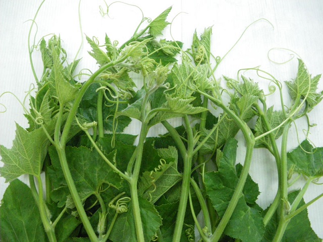 Loại rau này không những ăn ngon miệng mà còn giàu dinh dưỡng