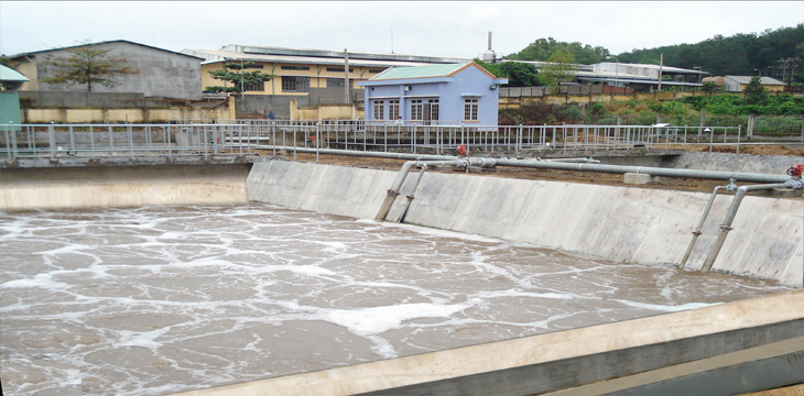 xử lý ao nuôi cá bị ô nhiễm