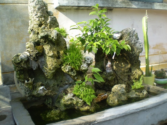 Các Loại Cây Trồng Trên Hòn Non Bộ Đẹp