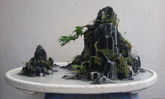 Trên hòn nôn bộ thường trồng những loại cây mang ý nghĩa phong thủy